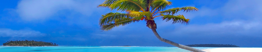 米国ABH協会認定ヒプノセラピスト　American Bord of Hypnotherapy